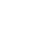 Icon-2-5fdbc9e4093cb A vector image of different stars.